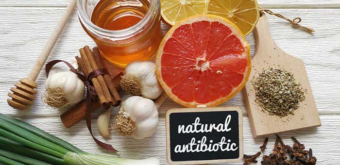natural antibiotics reccomnded by Campbell chiropractor