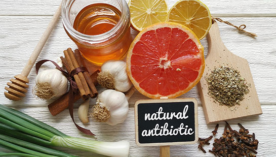 natural antibiotics reccomnded by Campbell chiropractor